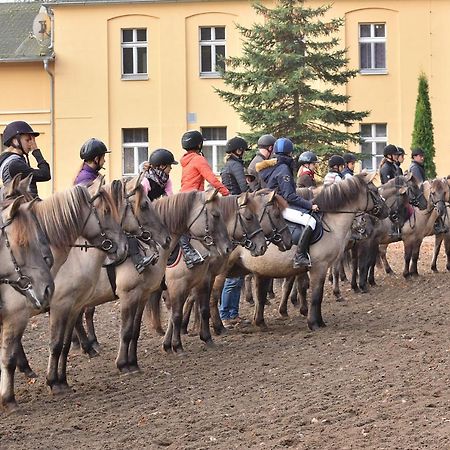 Stado Ogierow Sierakow Hotel Sierakow  Buitenkant foto